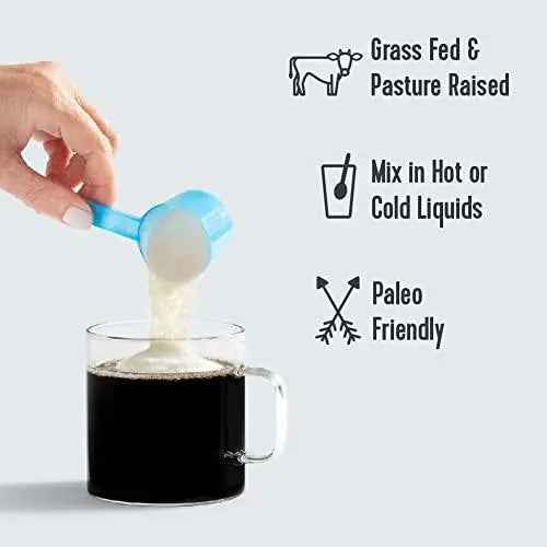 Vital Proteins Collagen Peptides Powder | Chocolate | Grass-Fed