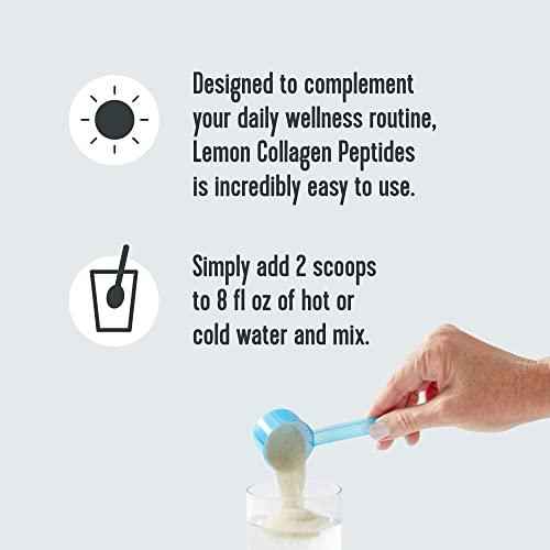 Vital Proteins Collagen Peptides Powder | Chocolate | Grass-Fed