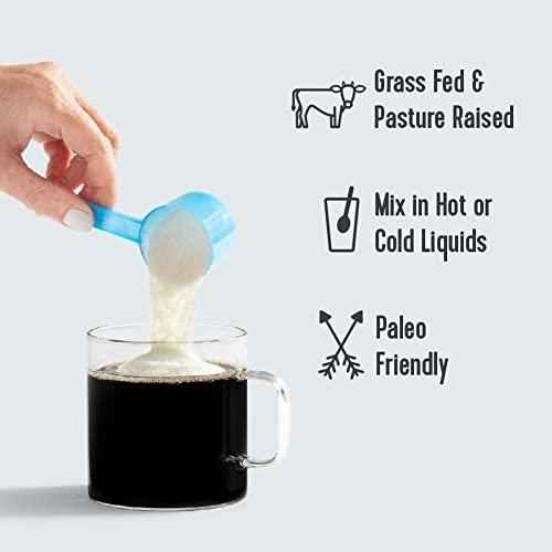 Vital Proteins Collagen Peptides Powder | Chocolate | Grass-Fed