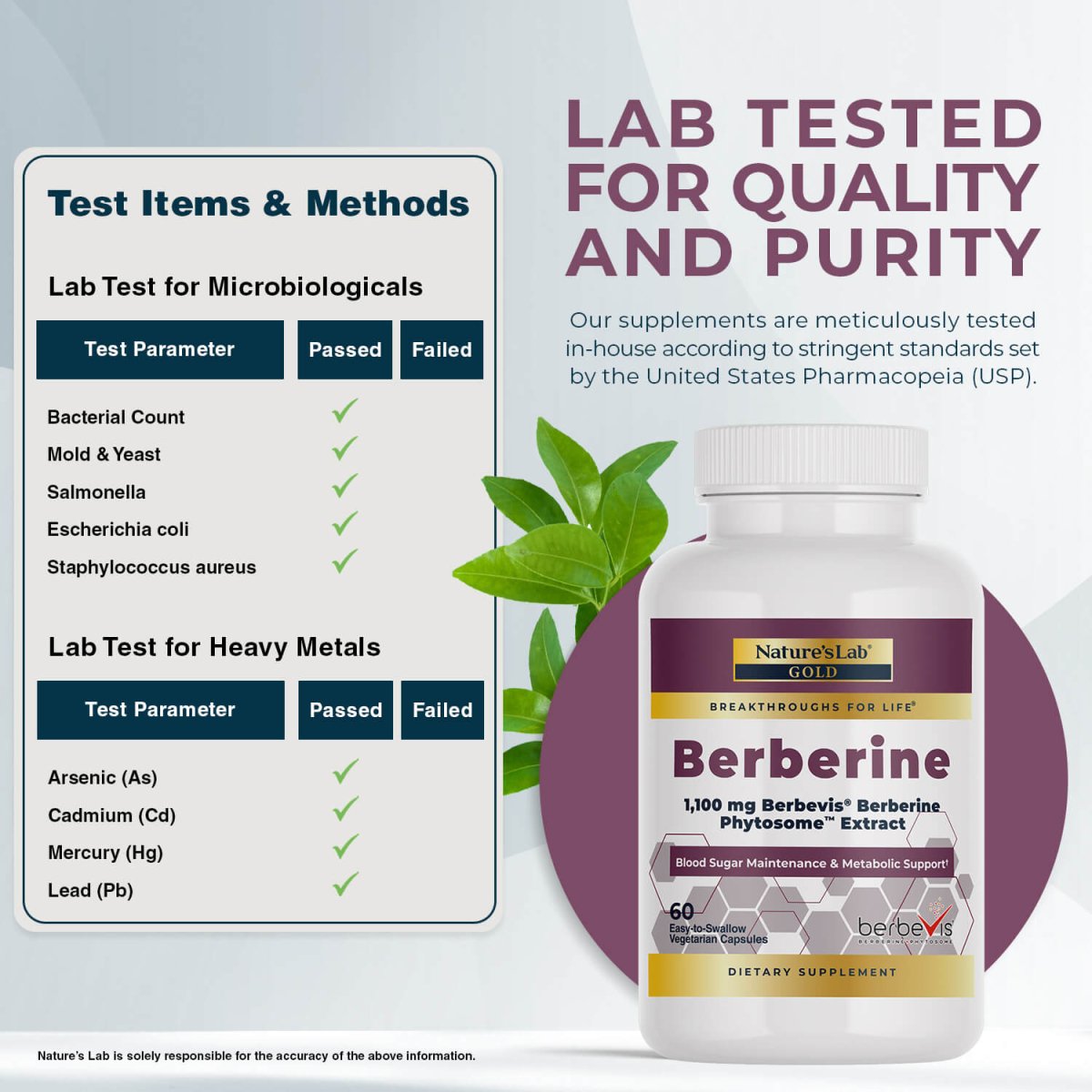 Nature's Lab Berbevis® Berberine Phytosome™ | 9.6x Absorption | 60 Capsules