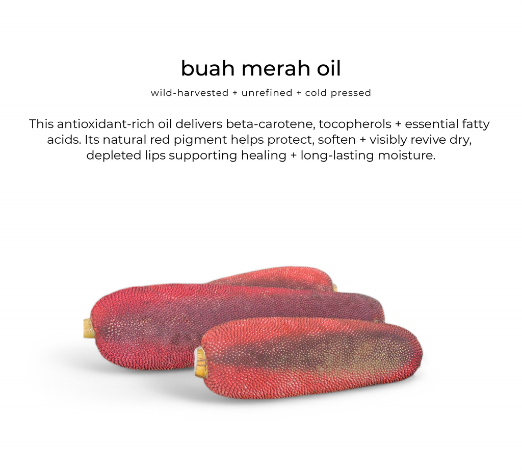 Love and Light Botanicals Glossberry Lush Lip Oil