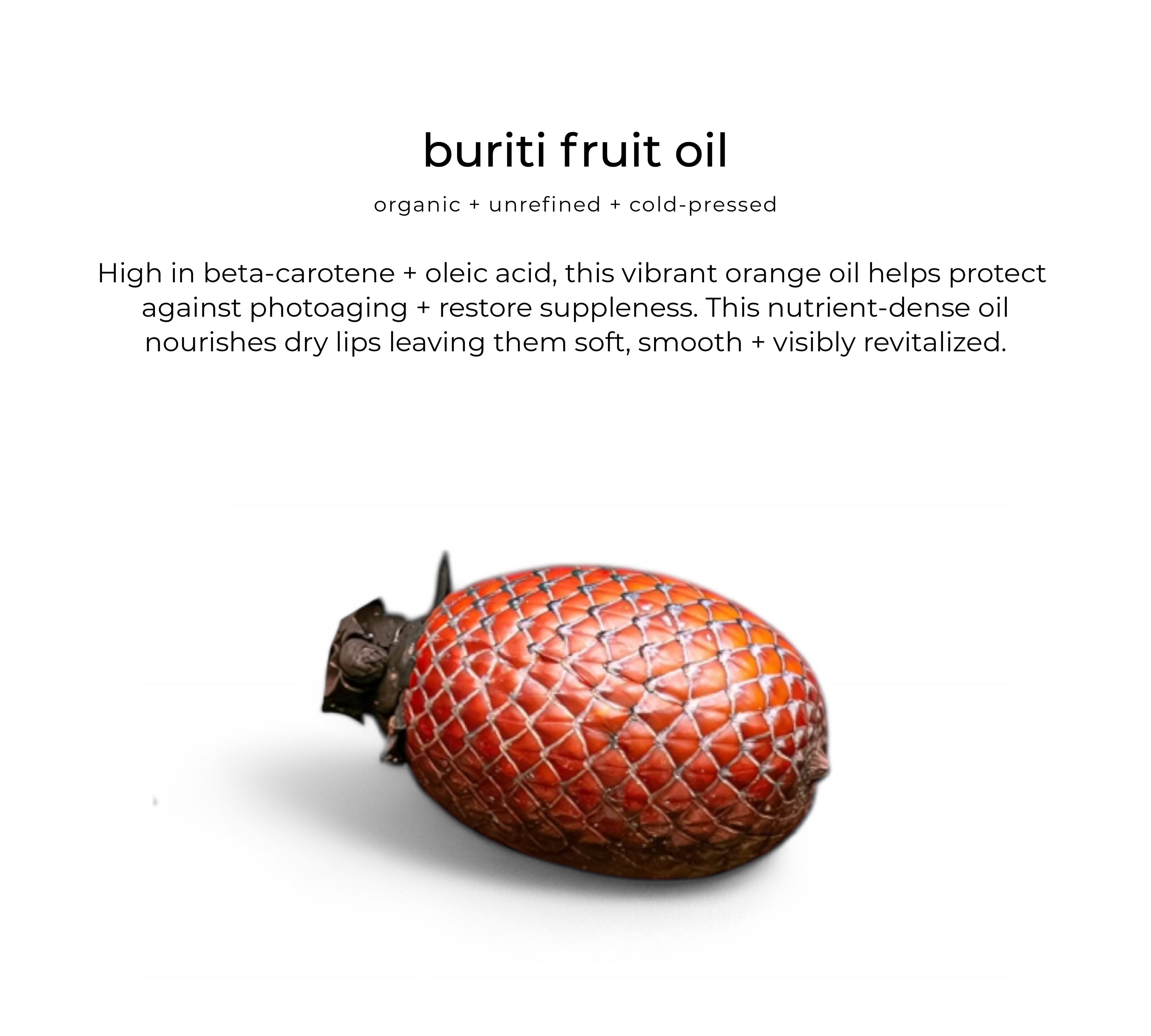 Love and Light Botanicals Glossberry Lush Lip Oil