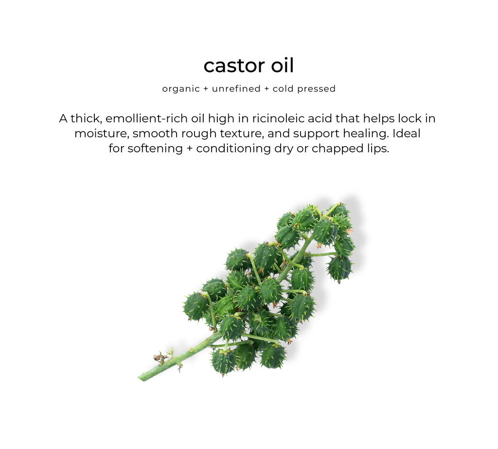 Love and Light Botanicals Glossberry Lush Lip Oil
