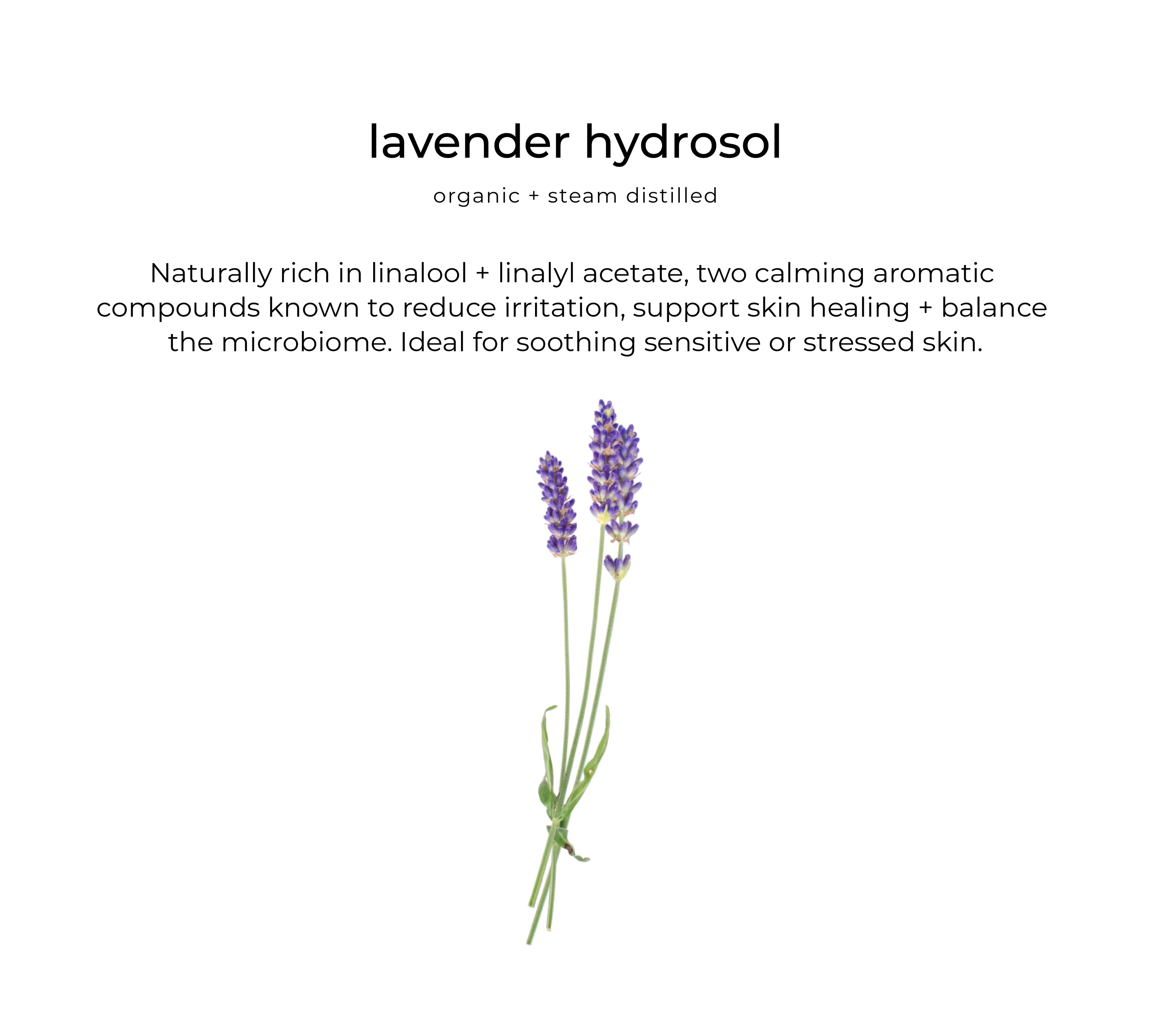Love and Light Botanicals Habitual Hydrator – Sensitive Skin Day Cream